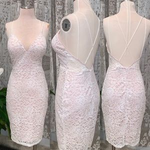 Windsor Lace White & Nude Midi Dress